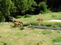 2026-06-20 Sopralluogo Trail Duchessa 051